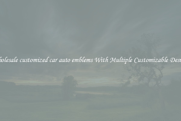 Wholesale customized car auto emblems With Multiple Customizable Designs