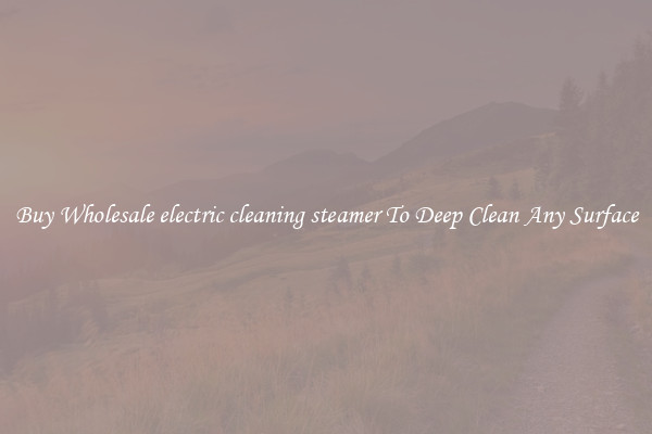 Buy Wholesale electric cleaning steamer To Deep Clean Any Surface
