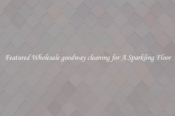 Featured Wholesale goodway cleaning for A Sparkling Floor