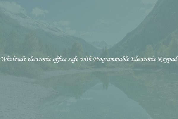 Wholesale electronic office safe with Programmable Electronic Keypad 