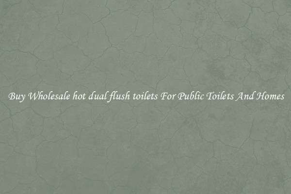 Buy Wholesale hot dual flush toilets For Public Toilets And Homes