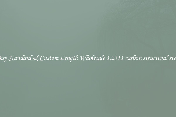 Buy Standard & Custom Length Wholesale 1.2311 carbon structural steel