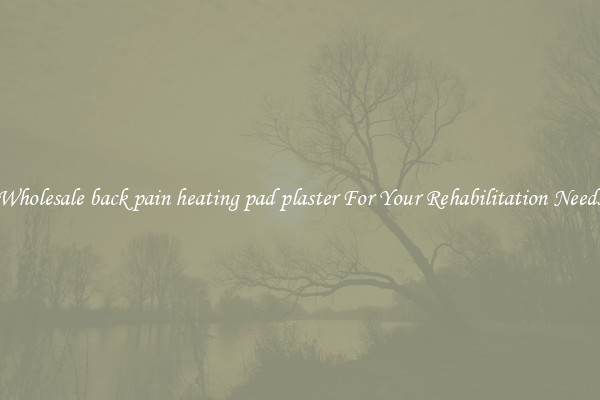 Wholesale back pain heating pad plaster For Your Rehabilitation Needs