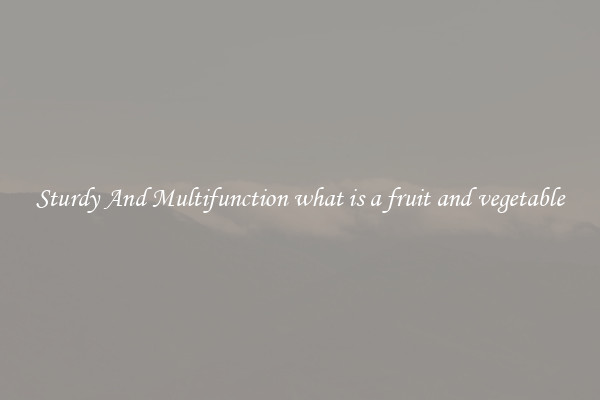 Sturdy And Multifunction what is a fruit and vegetable