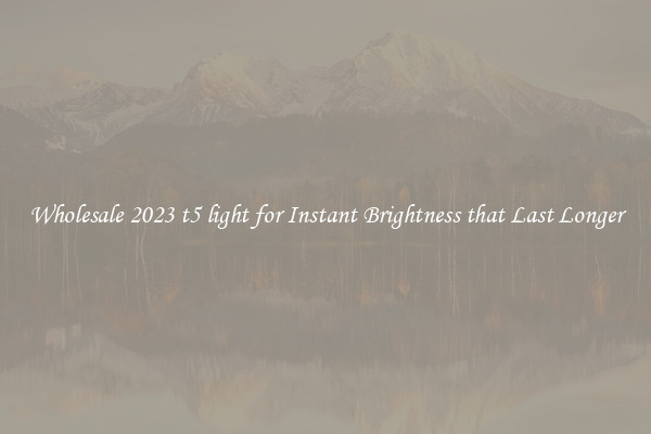 Wholesale 2023 t5 light for Instant Brightness that Last Longer