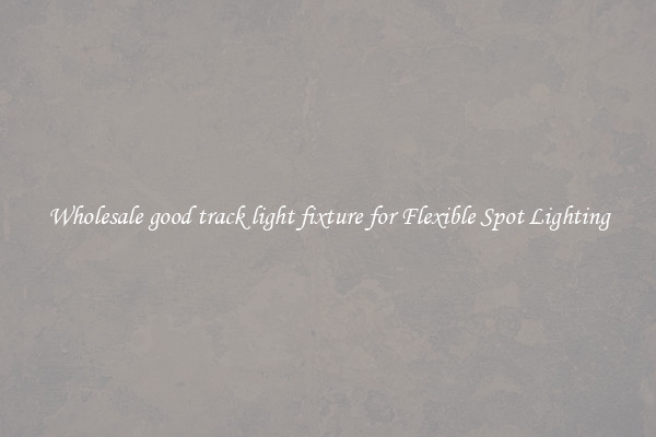 Wholesale good track light fixture for Flexible Spot Lighting