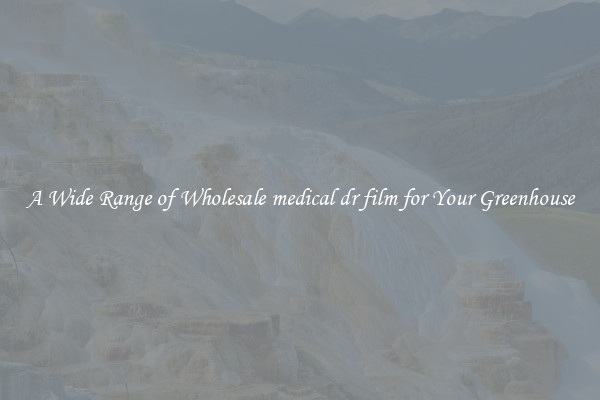 A Wide Range of Wholesale medical dr film for Your Greenhouse
