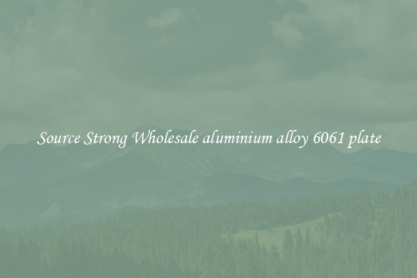 Source Strong Wholesale aluminium alloy 6061 plate