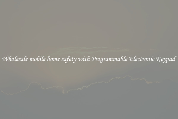 Wholesale mobile home safety with Programmable Electronic Keypad 