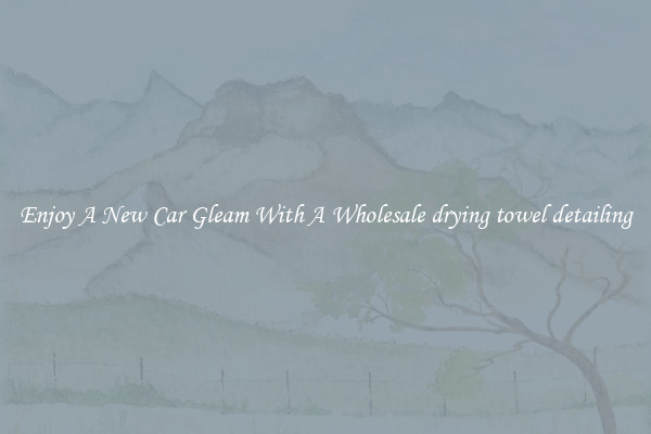 Enjoy A New Car Gleam With A Wholesale drying towel detailing