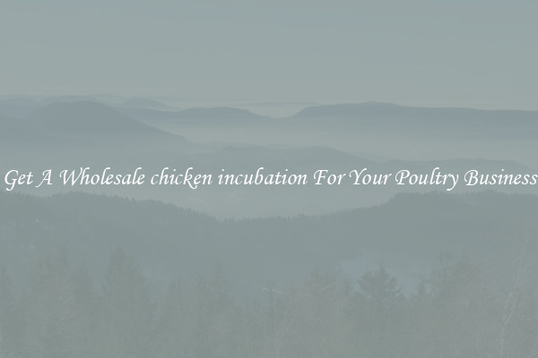 Get A Wholesale chicken incubation For Your Poultry Business