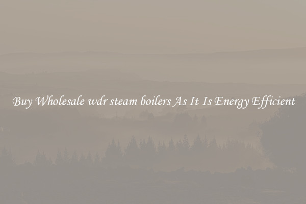 Buy Wholesale wdr steam boilers As It Is Energy Efficient