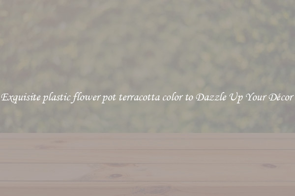 Exquisite plastic flower pot terracotta color to Dazzle Up Your Décor 