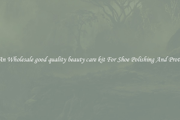 Buy An Wholesale good quality beauty care kit For Shoe Polishing And Protection