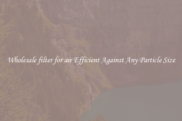Wholesale filter for air Efficient Against Any Particle Size