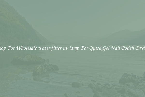 Shop For Wholesale water filter uv lamp For Quick Gel Nail Polish Drying
