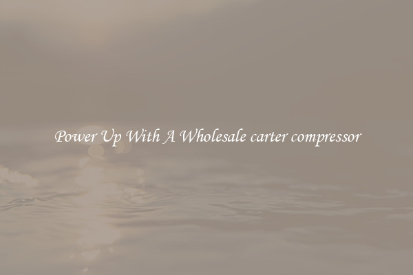 Power Up With A Wholesale carter compressor