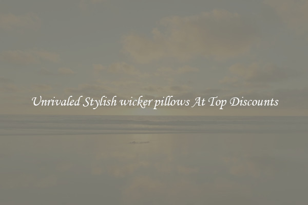 Unrivaled Stylish wicker pillows At Top Discounts