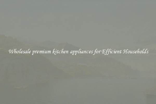 Wholesale premium kitchen appliances for Efficient Households