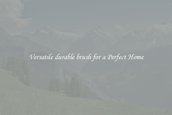 Versatile durable brush for a Perfect Home